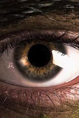 Amor, Realidade, e o tempo de transição (Love, Reality, and the Time of Transition)