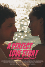 A Perfect Love Story where nothing goes wrong or does it..? (A Perfect Love Story where nothing goes wrong or does it..?)
