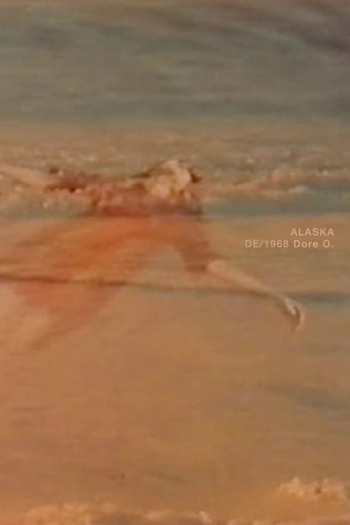 Poster de Curta Alaska (1969)