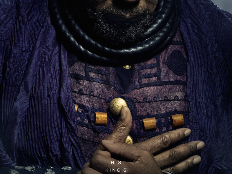 Foto 19 de Pantera Negra