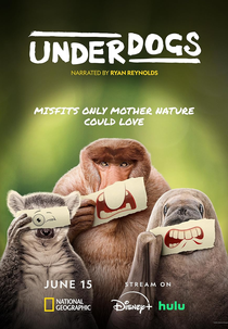 Underdogs - Coadjuvantes Selvagens (1ª Temporada) (Underdogs (1º Season))
