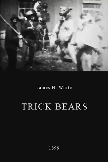  de Curta Trick Bears (1899)