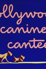 Cantina Canina de Hollywood (Hollywood Canine Canteen)
