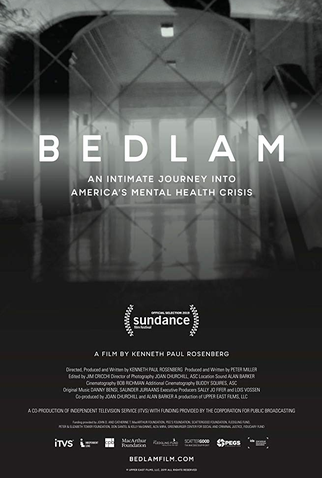 Poster 1 de Filme Bedlam (2019)