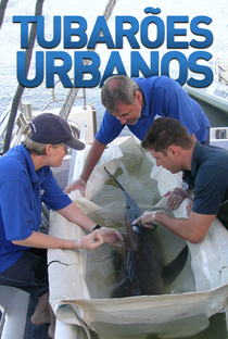 Tubarões Urbanos - Poster / Capa / Cartaz - Oficial 1