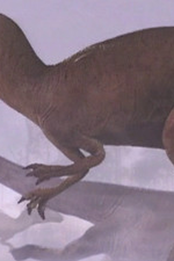 Poster de Episódio Ground Zero (1999)