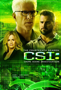 CSI: Investigação Criminal (14ª Temporada) - Poster / Capa / Cartaz - Oficial 1