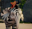 Zoomba in Charge