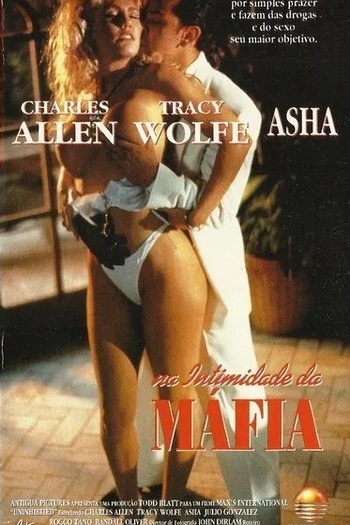 Poster de Filme Na intimidade da máfia (1995)