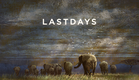 Last Days Film