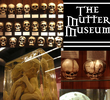 The Mutter Museum