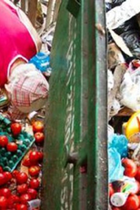 Desperdício de alimentos - quem paga essa conta? (Desperdício de alimentos - quem paga essa conta?)