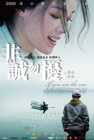 Poster 1 de Filme If you are the one (2008)