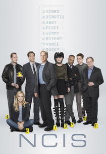 NCIS: Investigações Criminais (14ª Temporada) (NCIS: Naval Criminal Investigative Service (Season 14))