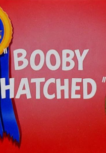 O Patinho Perdido (Booby Hatched)