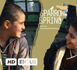 Sparrow's Spring