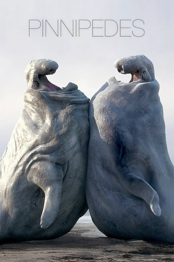 Poster de Curta Pinnipedes (2014)