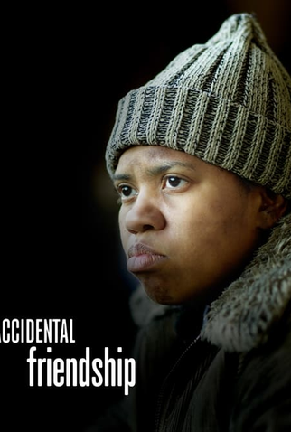 Poster 2 de Filme Accidental Friendship (2008)