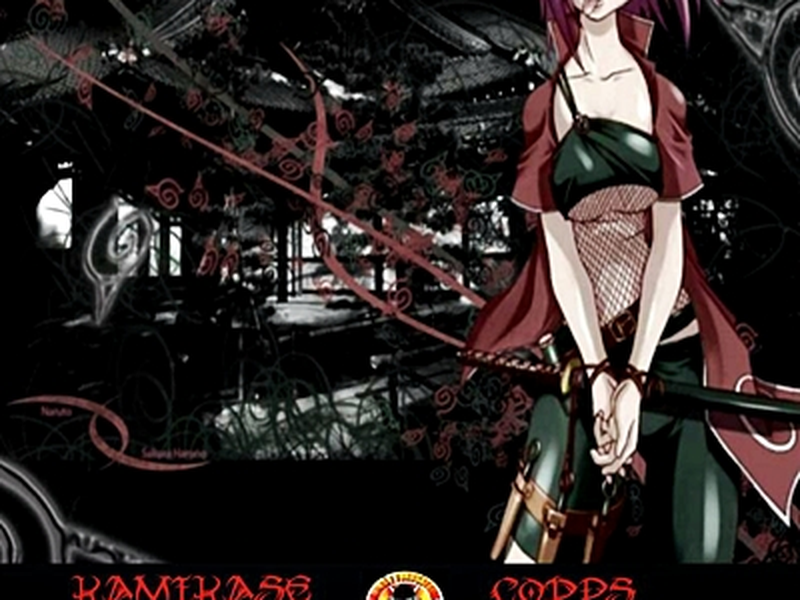 Foto 7 de Naruto Shippuden (4ª Temporada)