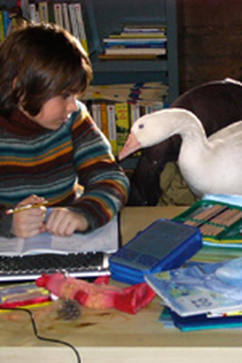  de Filme Salvando a Ceia de Natal (2006)