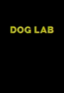 Dog Lab (Dog Lab)