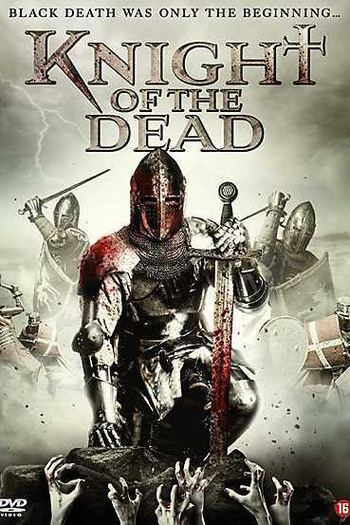  de Filme O Cavaleiro das Trevas (2013)