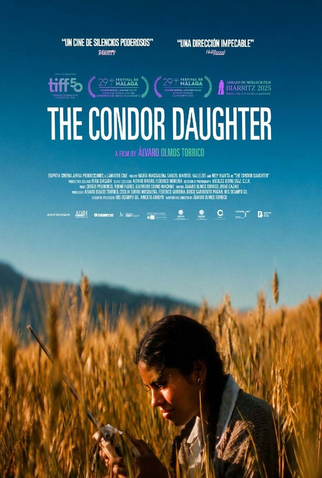 Poster 2 de Filme A Filha Condor (2025)