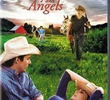 Cowboys & Angels