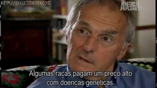 Trailer: Segredos do Pedigree - Parte 4-7