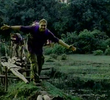 Wild Man & Swamp Dinosaur