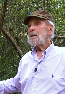 Krajcberg, o Grito da Natureza (Krajcberg, o Grito da Natureza)