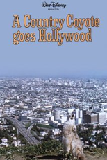 A Country Coyote Goes Hollywood (A Country Coyote Goes Hollywood)
