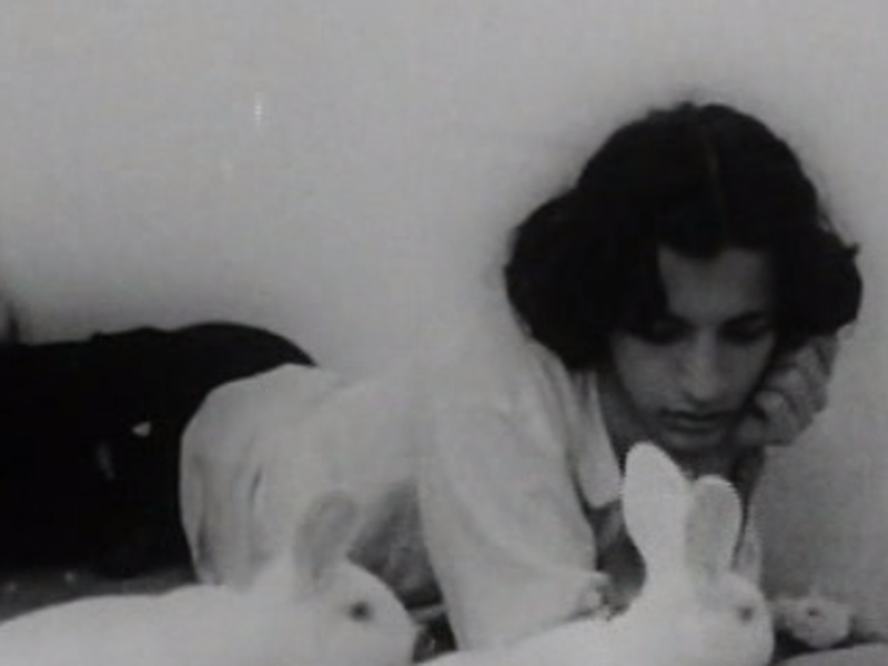 Foto 1 de A Segunda Besta