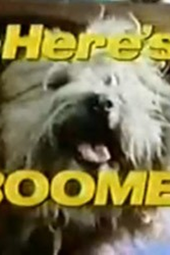 Poster de Série Boomer (1ª Temporada) (1980)