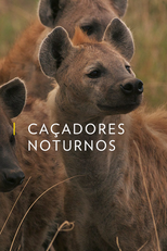Caçadores Noturnos (Night Stalkers: Leopard Battleground)