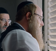 הציפור