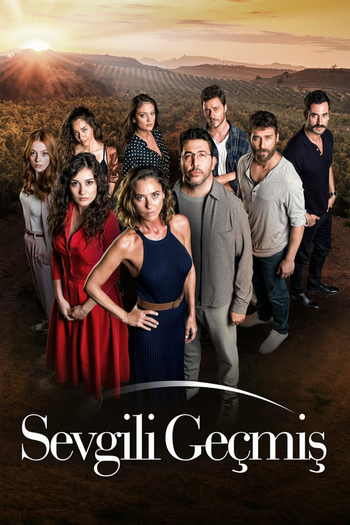 Poster de Franquia Sisterhood (2019)