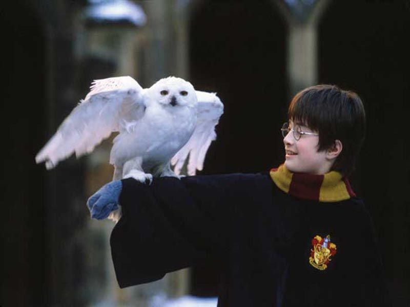 Foto 5 de Harry Potter e a Pedra Filosofal