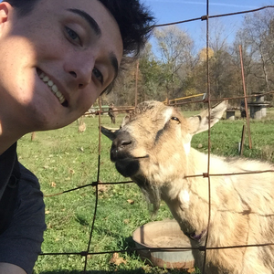 Foto de perfil de Bernardo