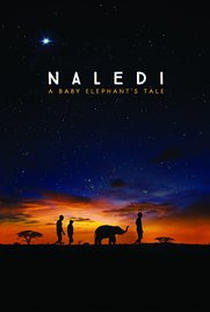 Naledi: A Baby's Elephant's Tale - Poster / Capa / Cartaz - Oficial 1