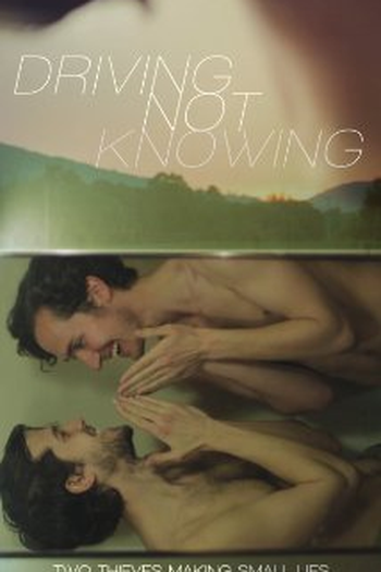  de Filme Driving Not Knowing (2014)