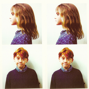 Foto de perfil de Carol