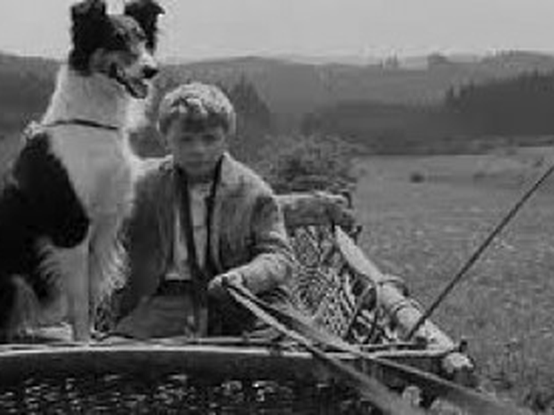 Foto 14 de Viva a República