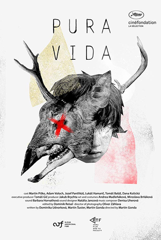 Poster 1 de Curta Pura Vida (2019)