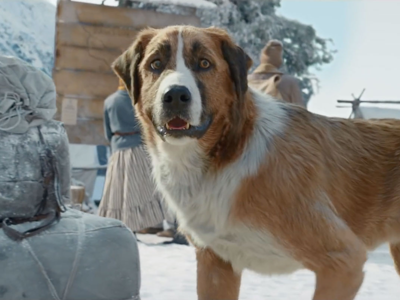 Foto 2 de O Chamado da Floresta