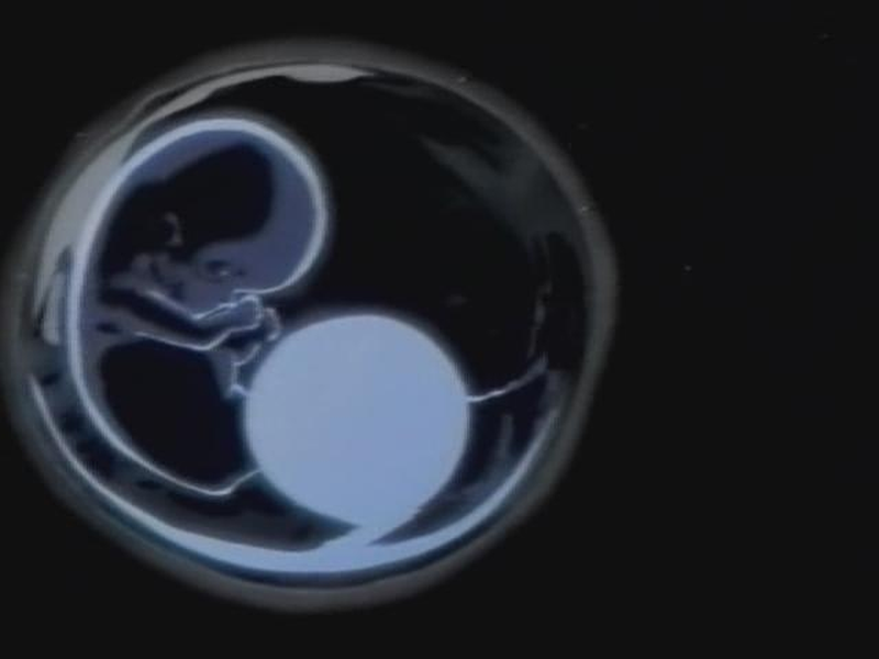 Foto 3 de Aventureiros do Espaço