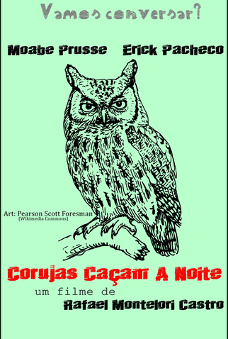 Poster 4 de Filme Corujas Caçam à Noite (2014)
