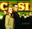CSI: Investigação Criminal (11ª Temporada)