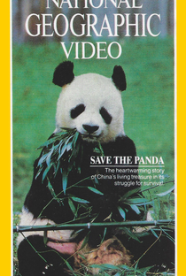 Salve o Ursinho Panda - Poster / Capa / Cartaz - Oficial 1