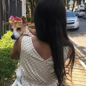Foto de perfil de Laura